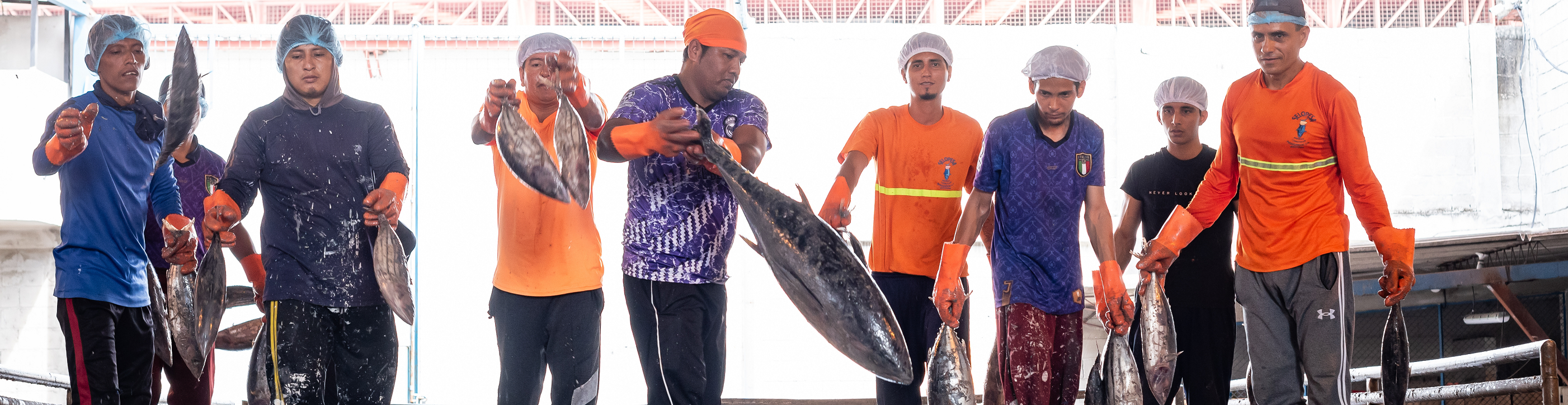 breadcrumb-background